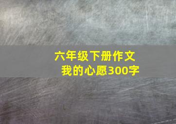 六年级下册作文我的心愿300字