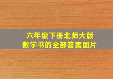 六年级下册北师大版数学书的全部答案图片