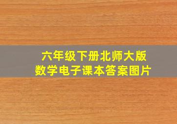 六年级下册北师大版数学电子课本答案图片