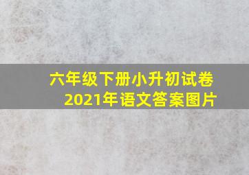 六年级下册小升初试卷2021年语文答案图片