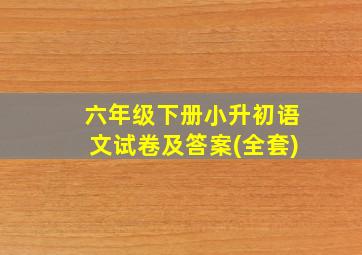 六年级下册小升初语文试卷及答案(全套)