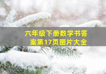 六年级下册数学书答案第17页图片大全