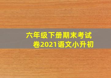 六年级下册期末考试卷2021语文小升初