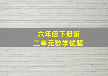 六年级下册第二单元数学试题