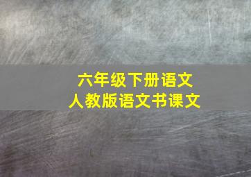 六年级下册语文人教版语文书课文