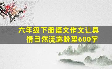 六年级下册语文作文让真情自然流露盼望600字