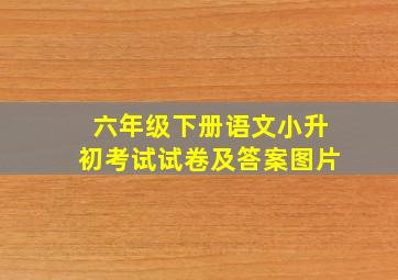 六年级下册语文小升初考试试卷及答案图片