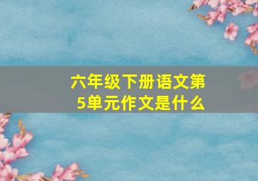 六年级下册语文第5单元作文是什么