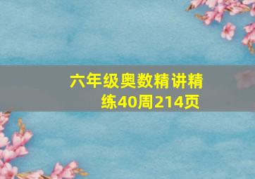 六年级奥数精讲精练40周214页