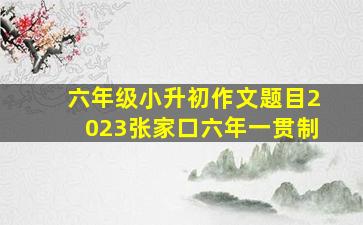 六年级小升初作文题目2023张家口六年一贯制