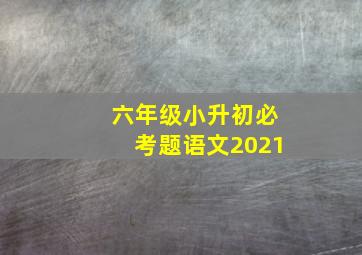 六年级小升初必考题语文2021