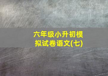 六年级小升初模拟试卷语文(七)