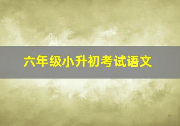 六年级小升初考试语文