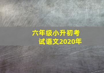 六年级小升初考试语文2020年