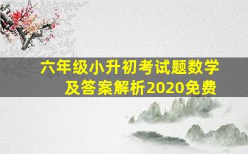 六年级小升初考试题数学及答案解析2020免费