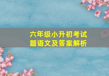 六年级小升初考试题语文及答案解析