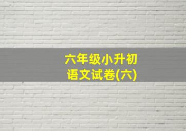 六年级小升初语文试卷(六)