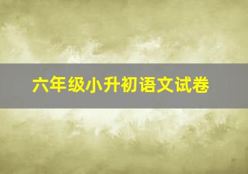 六年级小升初语文试卷