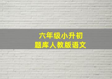 六年级小升初题库人教版语文