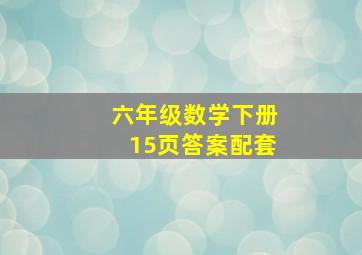 六年级数学下册15页答案配套