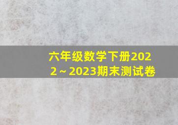 六年级数学下册2022～2023期末测试卷