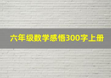 六年级数学感悟300字上册