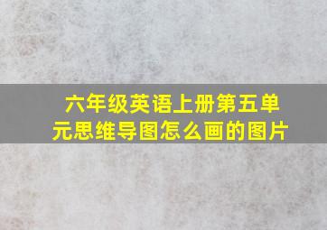 六年级英语上册第五单元思维导图怎么画的图片