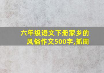 六年级语文下册家乡的风俗作文500字,抓周