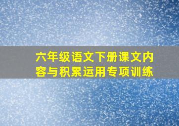 六年级语文下册课文内容与积累运用专项训练