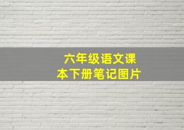 六年级语文课本下册笔记图片