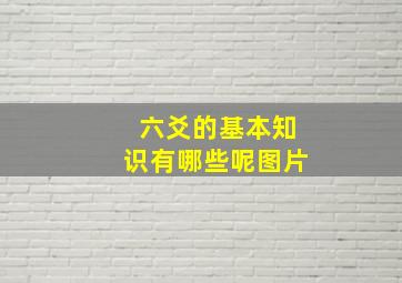 六爻的基本知识有哪些呢图片