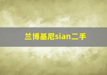 兰博基尼sian二手