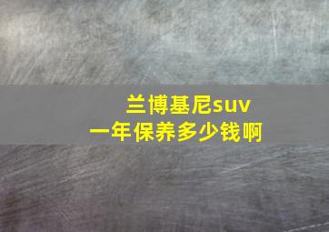 兰博基尼suv一年保养多少钱啊