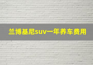 兰博基尼suv一年养车费用