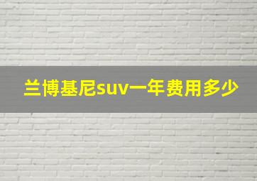 兰博基尼suv一年费用多少