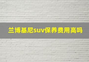 兰博基尼suv保养费用高吗