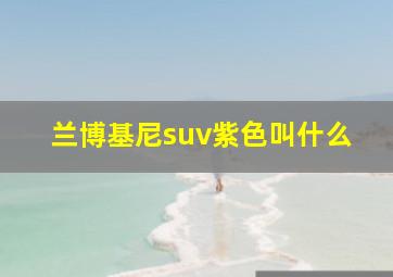 兰博基尼suv紫色叫什么