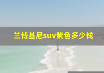 兰博基尼suv紫色多少钱