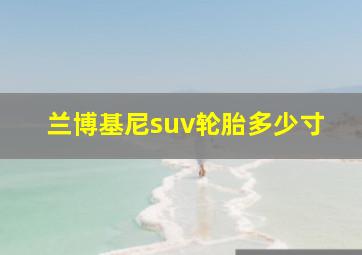 兰博基尼suv轮胎多少寸