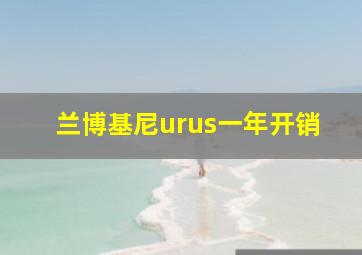 兰博基尼urus一年开销