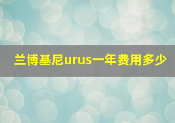 兰博基尼urus一年费用多少