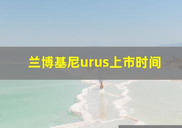 兰博基尼urus上市时间