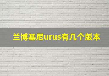 兰博基尼urus有几个版本