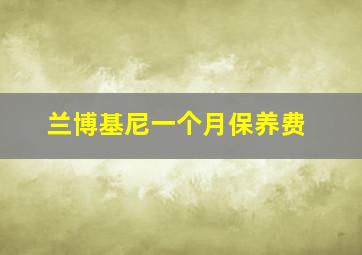 兰博基尼一个月保养费