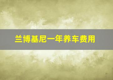 兰博基尼一年养车费用