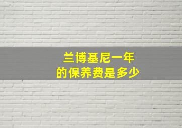 兰博基尼一年的保养费是多少