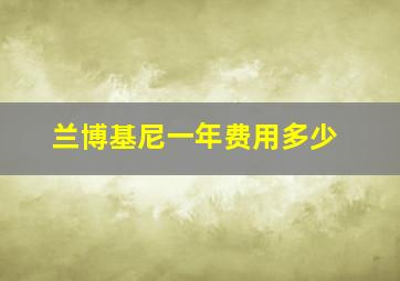 兰博基尼一年费用多少