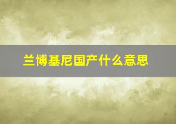 兰博基尼国产什么意思