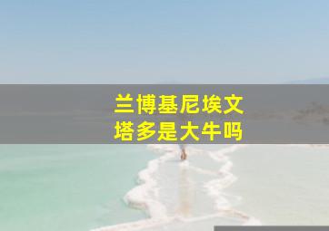 兰博基尼埃文塔多是大牛吗