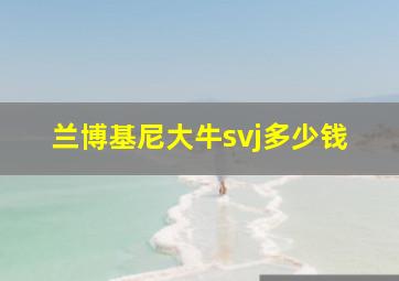 兰博基尼大牛svj多少钱